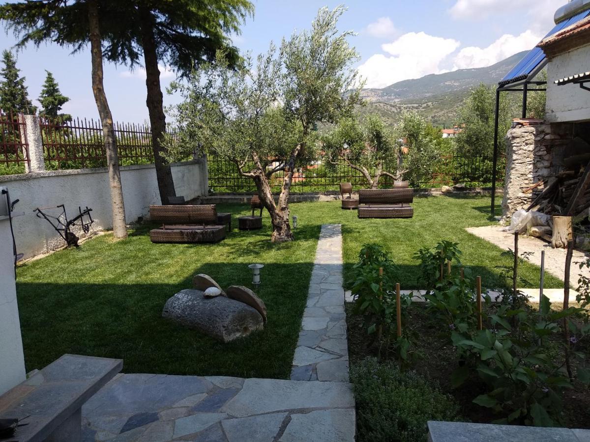 Villa Agnanti Apts And Suites Agio Pnevma ภายนอก รูปภาพ