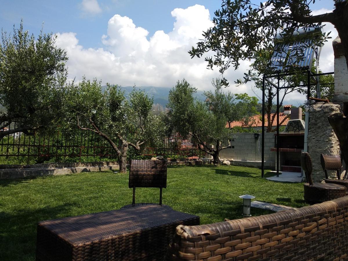 Villa Agnanti Apts And Suites Agio Pnevma ภายนอก รูปภาพ