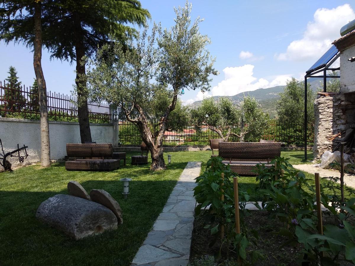 Villa Agnanti Apts And Suites Agio Pnevma ภายนอก รูปภาพ